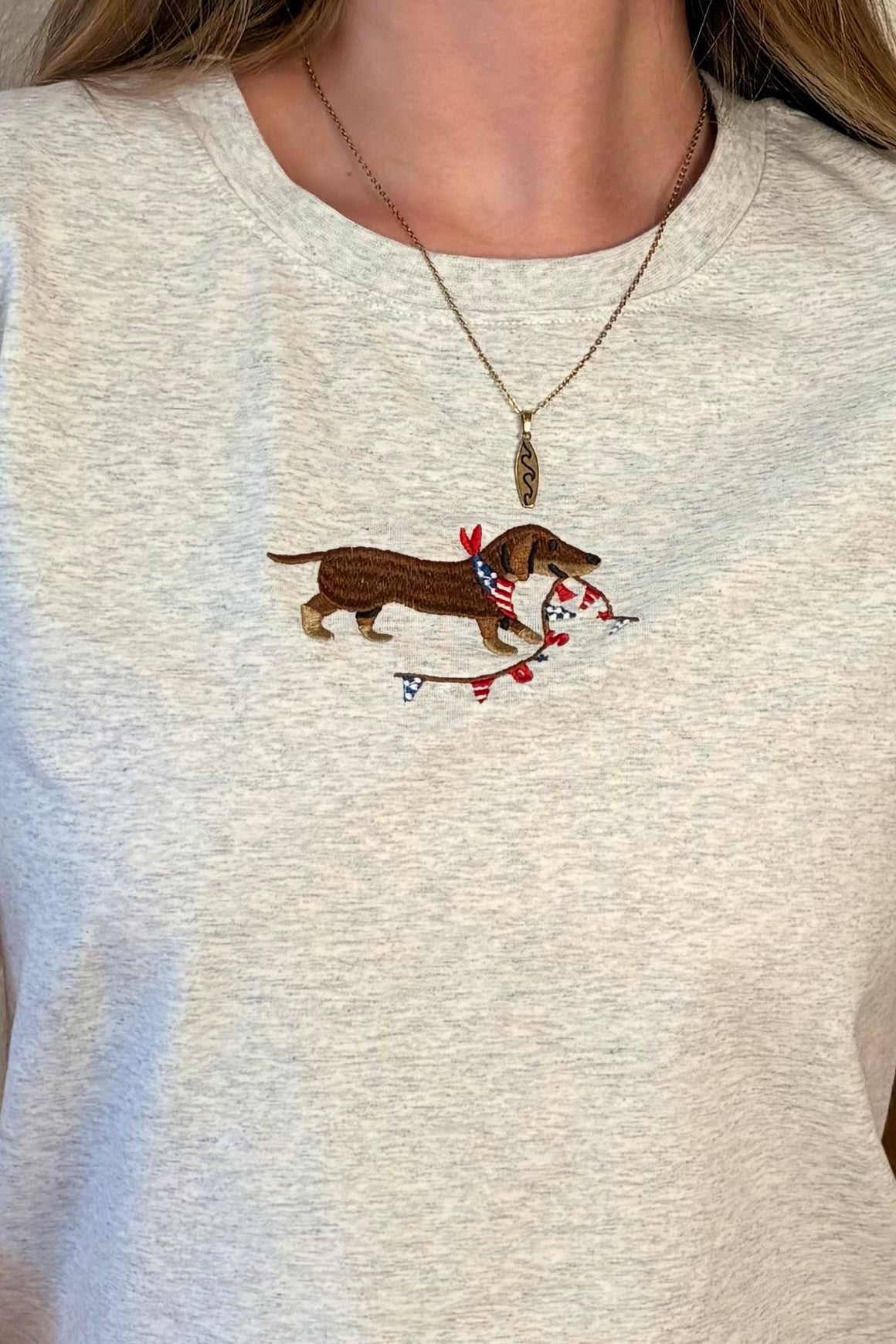 USA Dog Embroidered Tee